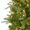 6ft. Pre-Lit Vienna Fir Artificial Christmas Tree, Warm White LED Lights